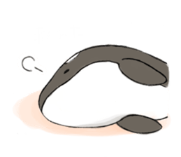 shachi-kun sticker #12660239