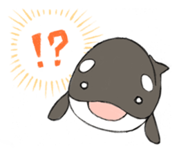 shachi-kun sticker #12660242