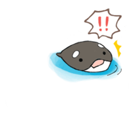 shachi-kun sticker #12660243
