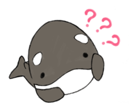 shachi-kun sticker #12660245