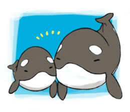 shachi-kun sticker #12660247