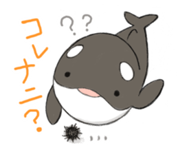 shachi-kun sticker #12660252