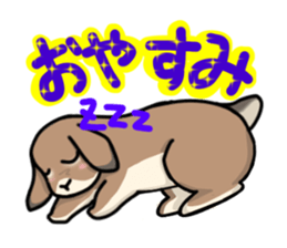 Shiina 's lop-eared rabbit sticker #12662175