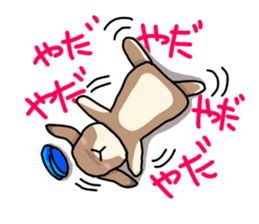 Shiina 's lop-eared rabbit sticker #12662191