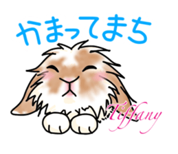Shiina 's lop-eared rabbit sticker #12662203