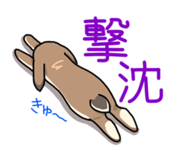 Shiina 's lop-eared rabbit sticker #12662211