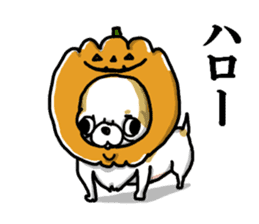 Chiwa-tan of Chihuahua sticker #12663782