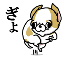 Chiwa-tan of Chihuahua sticker #12663783