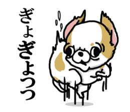 Chiwa-tan of Chihuahua sticker #12663784