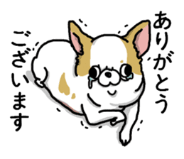 Chiwa-tan of Chihuahua sticker #12663786