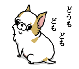 Chiwa-tan of Chihuahua sticker #12663789