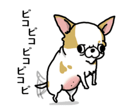 Chiwa-tan of Chihuahua sticker #12663791