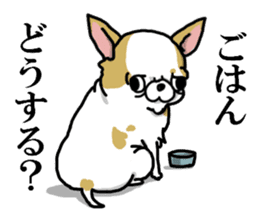 Chiwa-tan of Chihuahua sticker #12663793