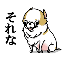 Chiwa-tan of Chihuahua sticker #12663798