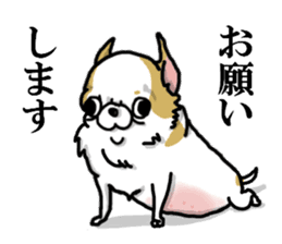 Chiwa-tan of Chihuahua sticker #12663800