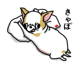 Chiwa-tan of Chihuahua sticker #12663801