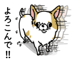 Chiwa-tan of Chihuahua sticker #12663802