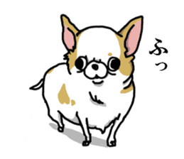 Chiwa-tan of Chihuahua sticker #12663803