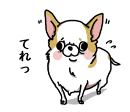 Chiwa-tan of Chihuahua sticker #12663804