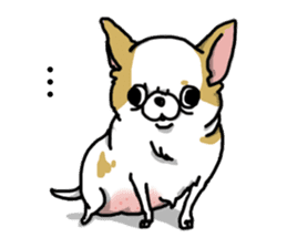Chiwa-tan of Chihuahua sticker #12663807