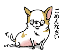 Chiwa-tan of Chihuahua sticker #12663808