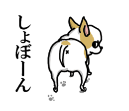 Chiwa-tan of Chihuahua sticker #12663809