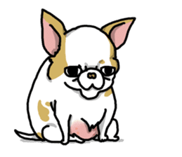 Chiwa-tan of Chihuahua sticker #12663810