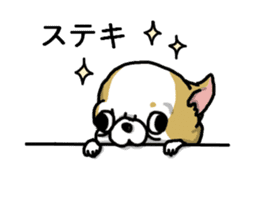 Chiwa-tan of Chihuahua sticker #12663814