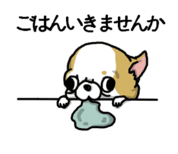 Chiwa-tan of Chihuahua sticker #12663816