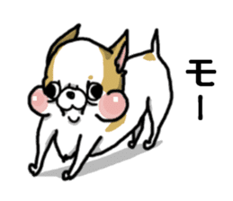 Chiwa-tan of Chihuahua sticker #12663819