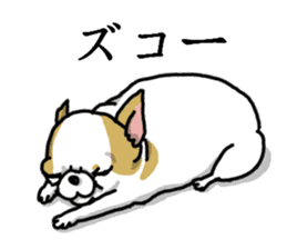 Chiwa-tan of Chihuahua sticker #12663820