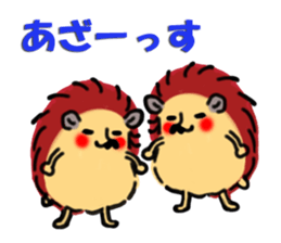 Favorite hedgehog sticker #12664847