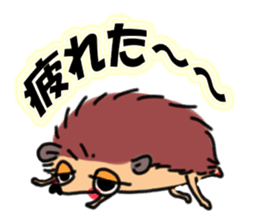 Favorite hedgehog sticker #12664882