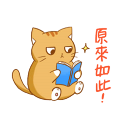 magic cats-family sticker #12665271