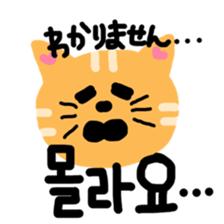 cat to speak japanese and korean sticker #12666116