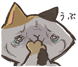 That's cat. sticker #12669751