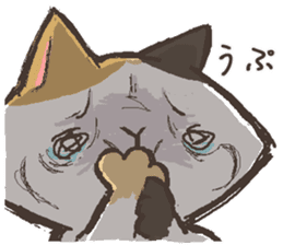 That's cat. sticker #12669751