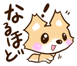 Fox Chihuahua sticker #12671227