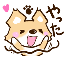 Fox Chihuahua sticker #12671237