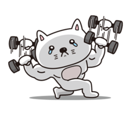 Life of crying cat sticker #12671278