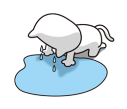 Life of crying cat sticker #12671281