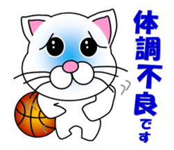 Basketball of a white cat sticker #12675093