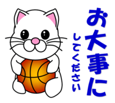 Basketball of a white cat sticker #12675094