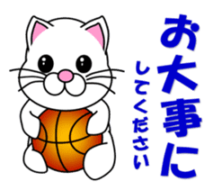 Basketball of a white cat sticker #12675094