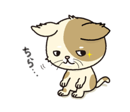 a stray cat "Nya" sticker #12678296