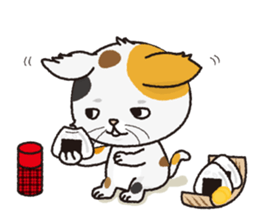 a stray cat "Nya" sticker #12678311