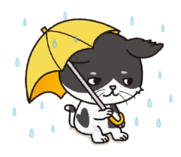 a stray cat "Nya" sticker #12678323