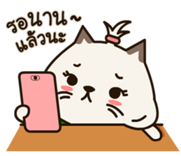 Fragile Bear & Angry Cat sticker #12678524