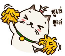 Fragile Bear & Angry Cat sticker #12678525