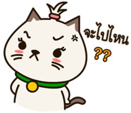 Fragile Bear & Angry Cat sticker #12678538